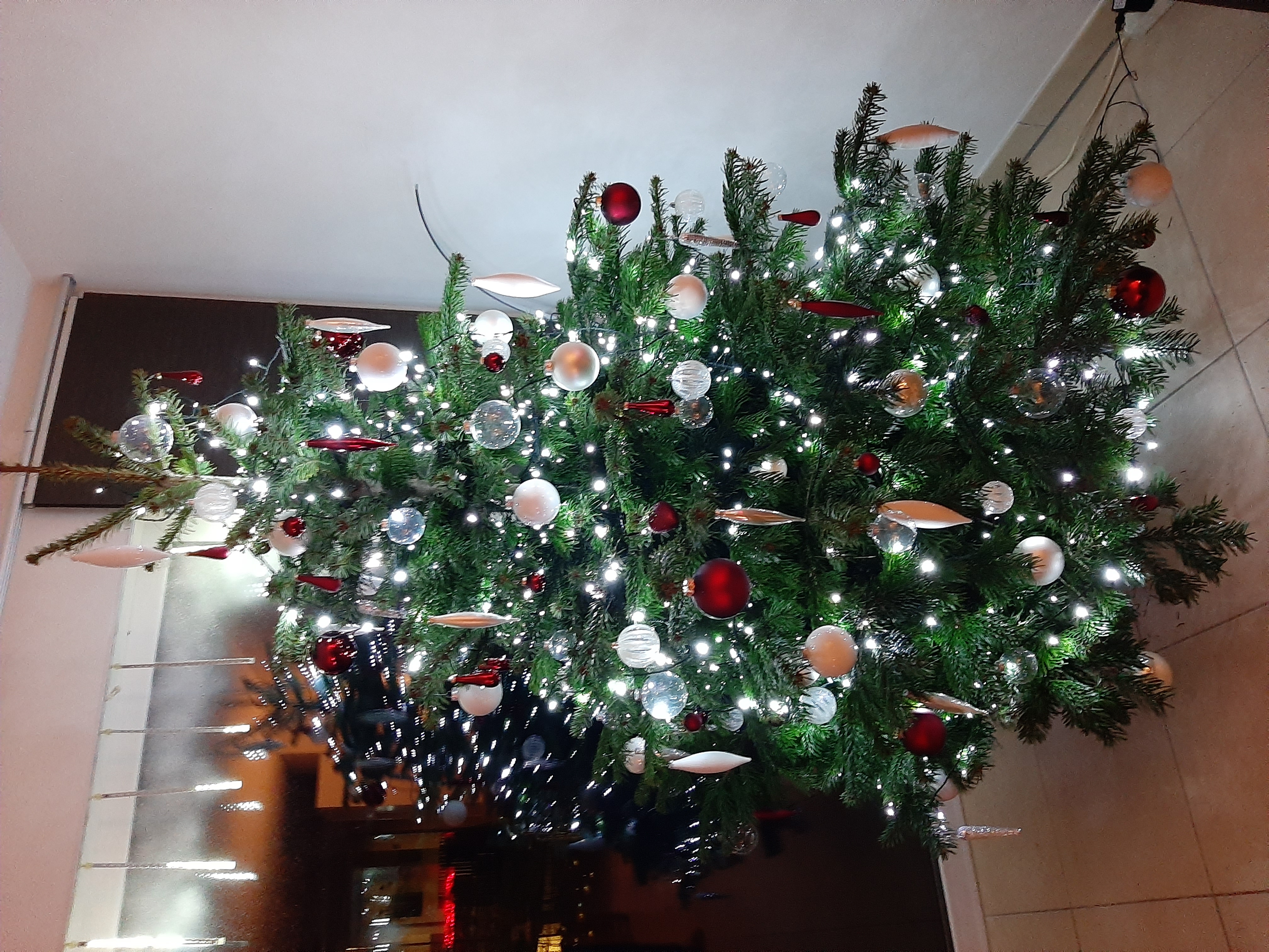 Sapin 2022